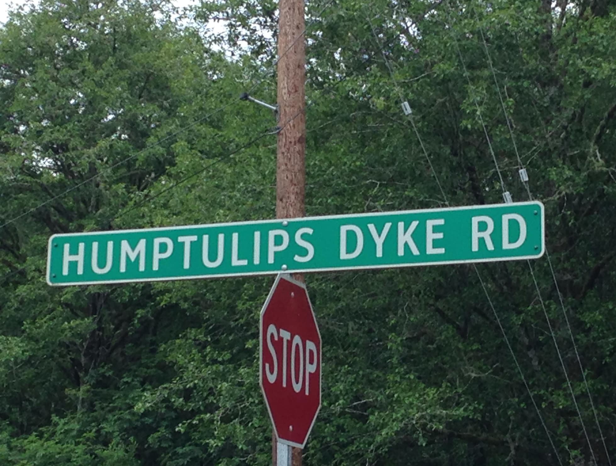 street sign - Humptulips Dyke Rd Stop